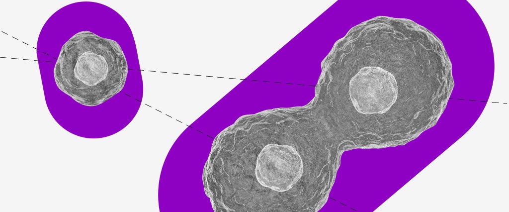 Poupança: uma colagem de célula no microscópio sobre um fundo roxo.