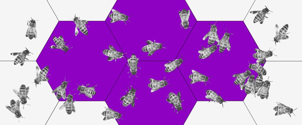 ESG: imagem de uma colmeia roxa com várias abelhas espalhadas